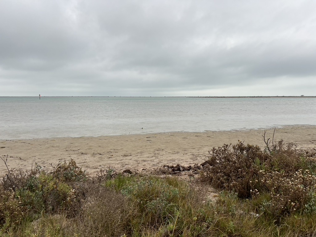 View of Corpus Christi Bay from the natural shoreline